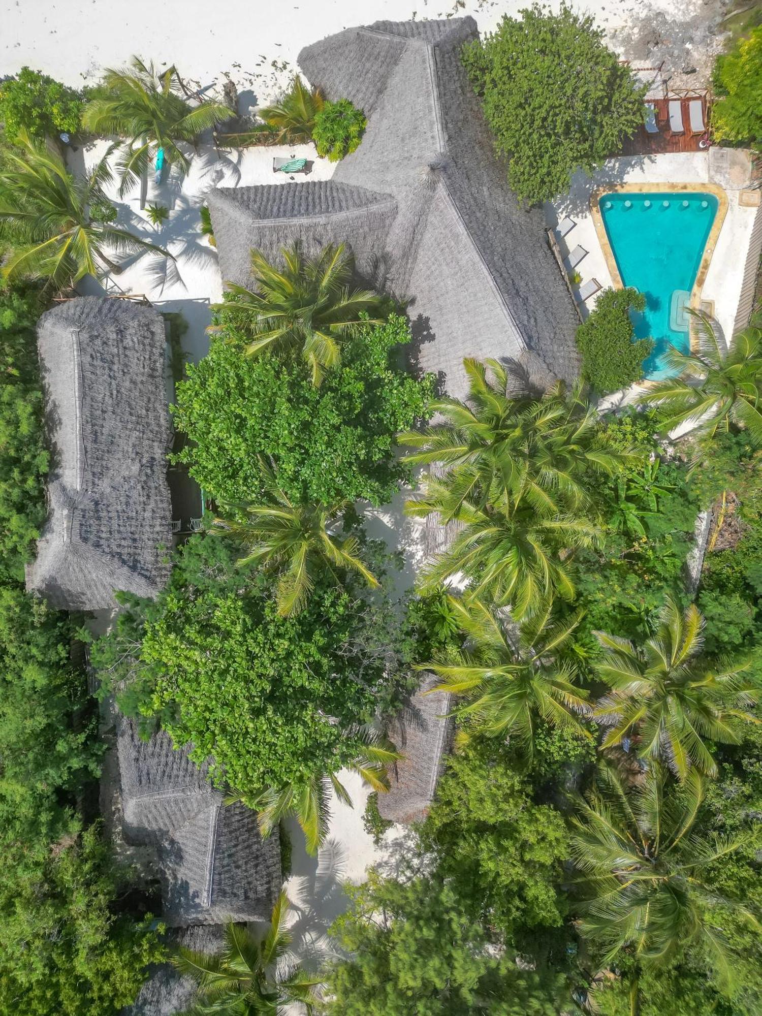 Natural Garden Boutique Hotel Джамбіані Екстер'єр фото